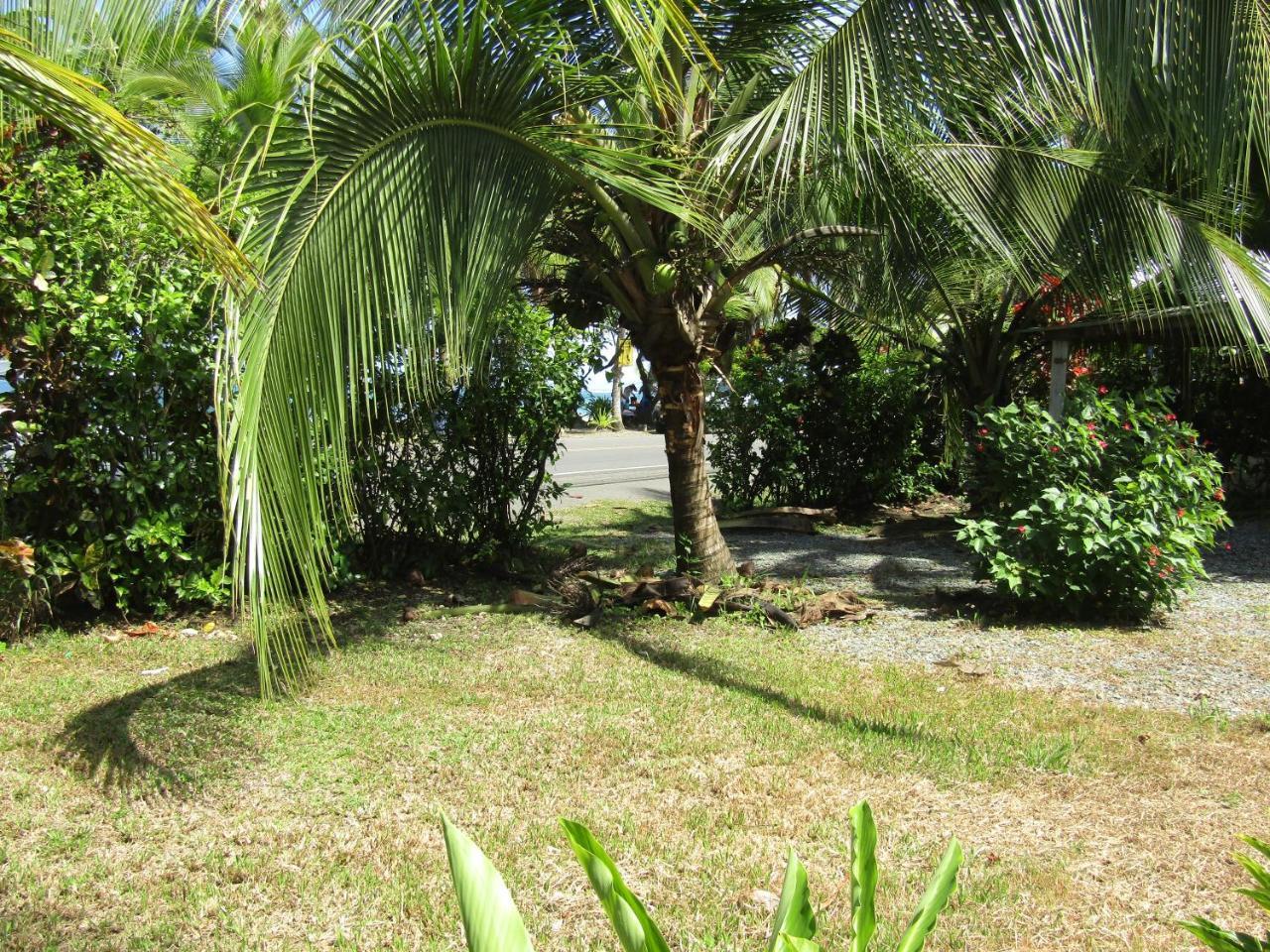 Вілла Pineapple House Manzanillo Екстер'єр фото