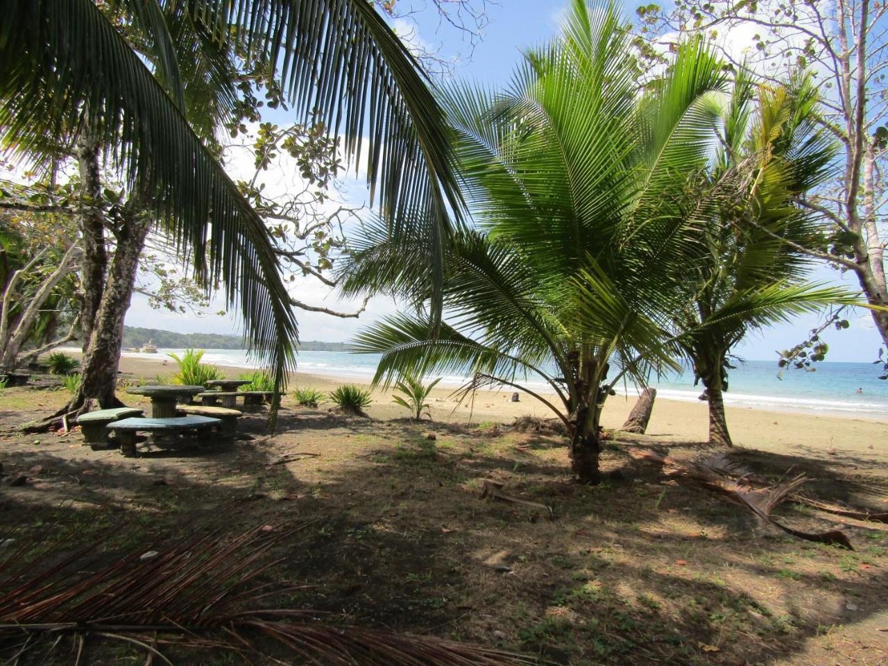 Вілла Pineapple House Manzanillo Екстер'єр фото
