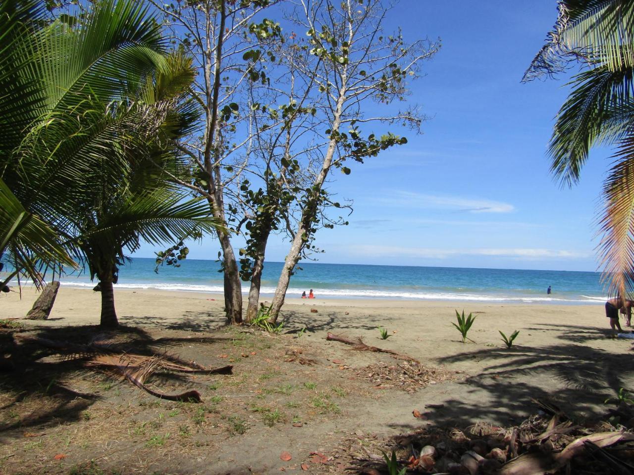 Вілла Pineapple House Manzanillo Екстер'єр фото