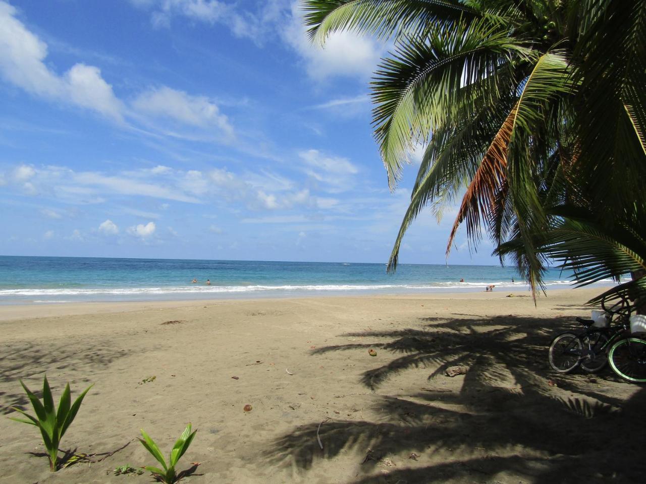 Вілла Pineapple House Manzanillo Екстер'єр фото