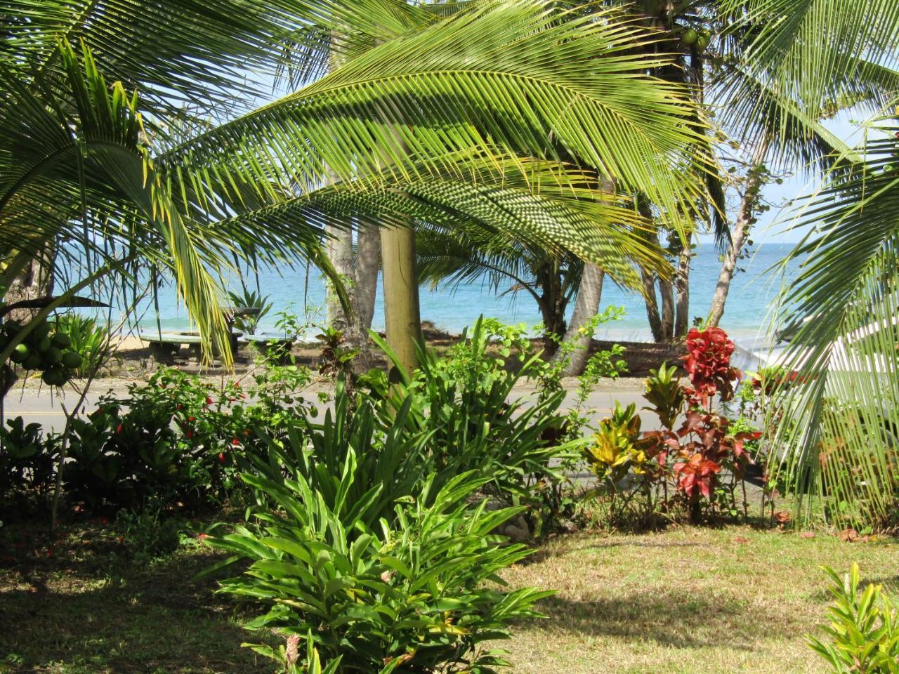 Вілла Pineapple House Manzanillo Екстер'єр фото